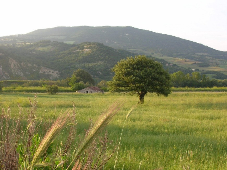 Casacalenda - Molise